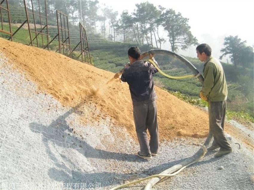 本公司供应各类绿化草种,景观花卉,护坡野花花籽,灌木乔木种子,攀爬