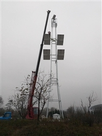 小区监控杆厂家