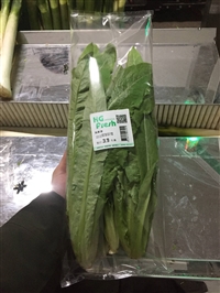 全自动叶菜包装机 下走膜叶菜包装机 叶菜包装机厂家直销