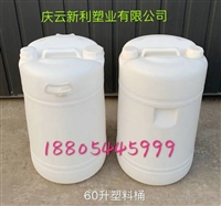 带提手60L塑料桶60升双口塑料桶助洗剂洗涤剂桶