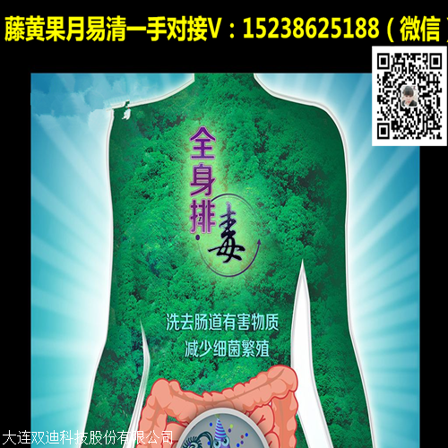 藤黄果藤黄果排肠毒排毒素排宿便一盒12包三天喝完