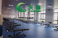 沈阳羽毛球场PVC运动地板天韵厂家批发