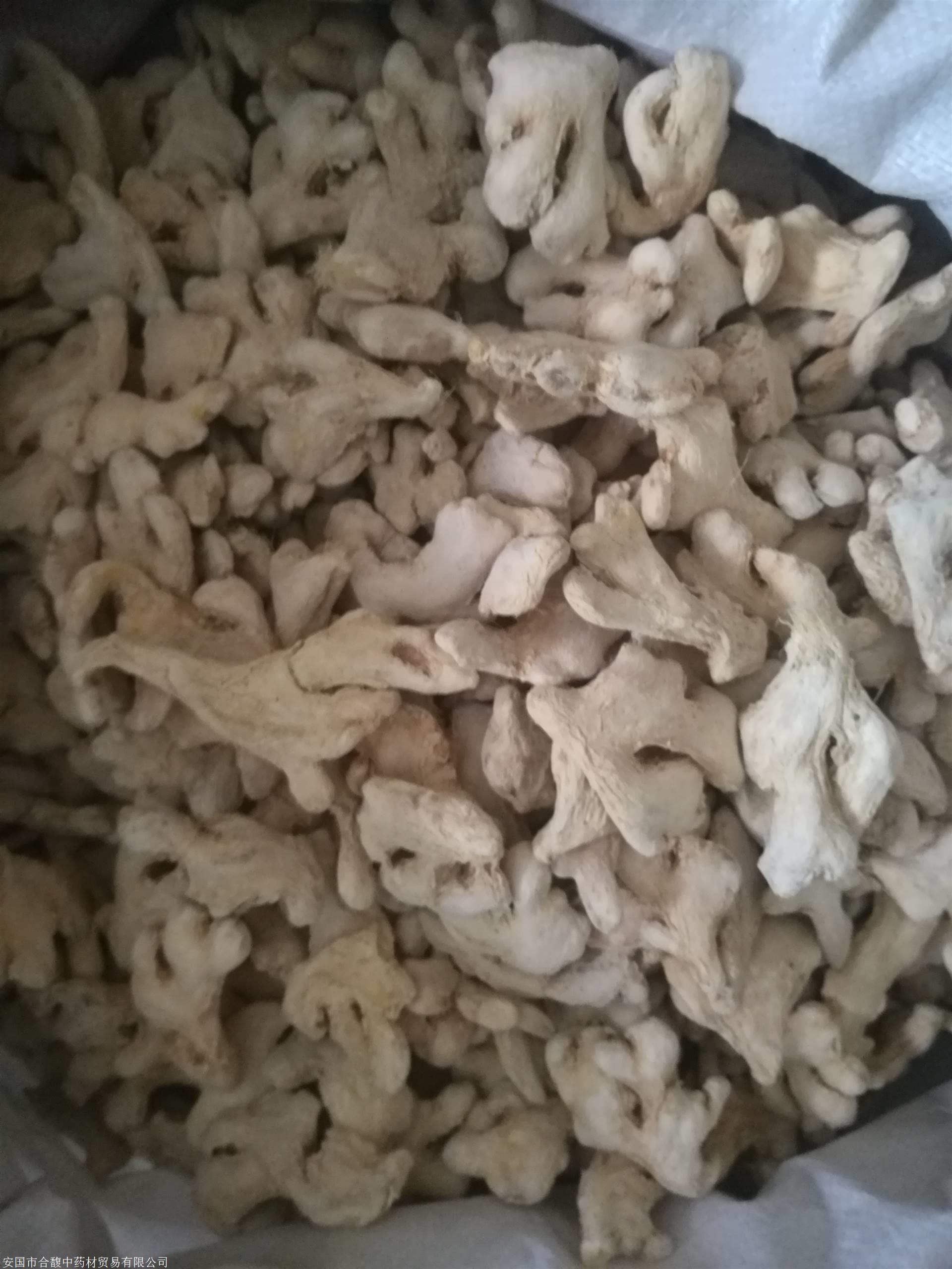 甘肃临夏哪里你能买到穿心莲中医基础理论txt下载