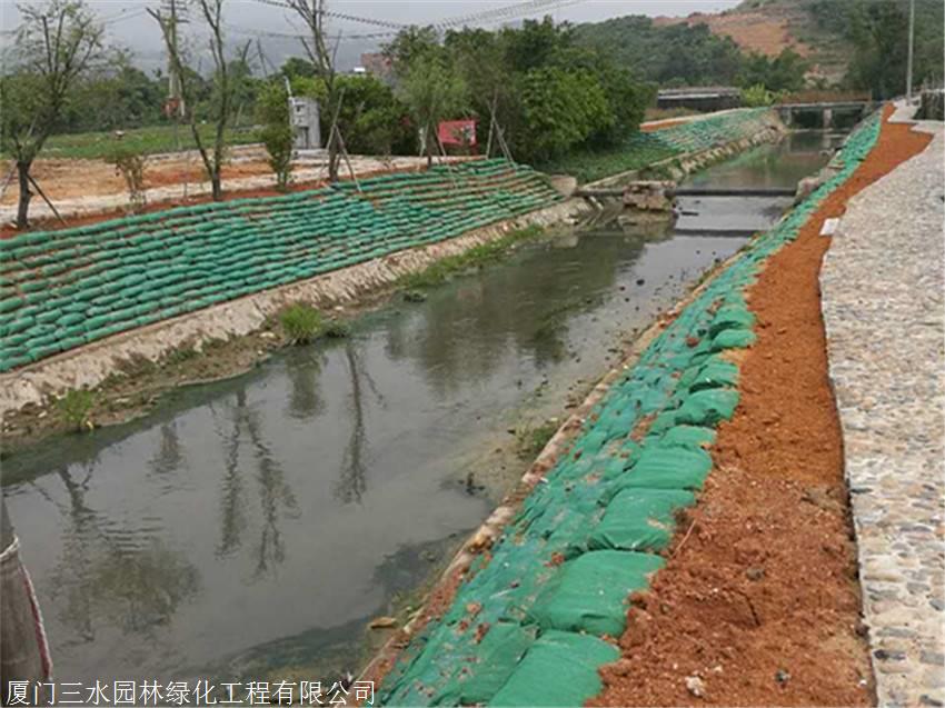 鱼塘边坡防护植草重庆渝北草种售出