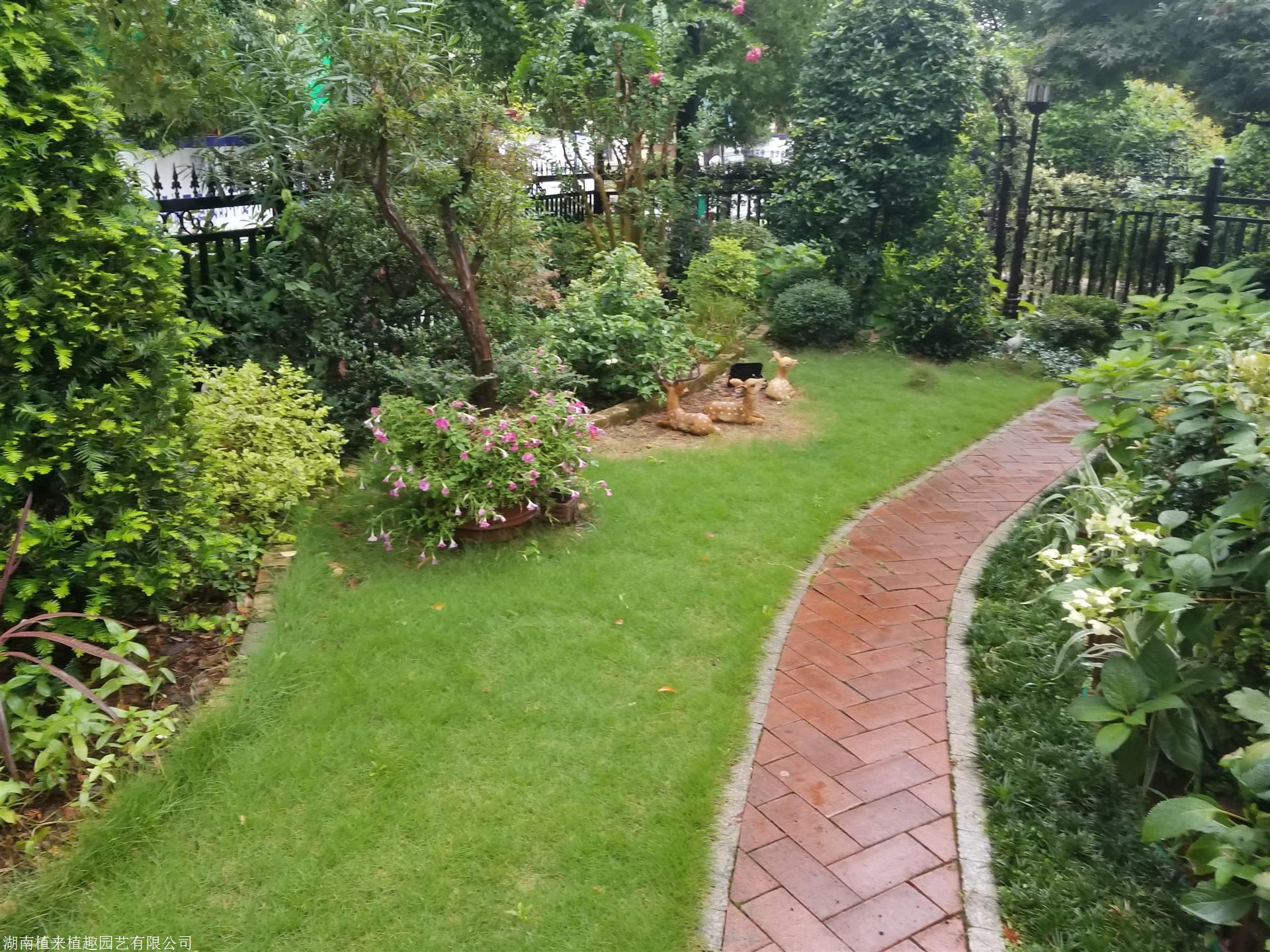 长沙屋顶花园设计/花园设计/别墅景观设计施工找植来植趣案例