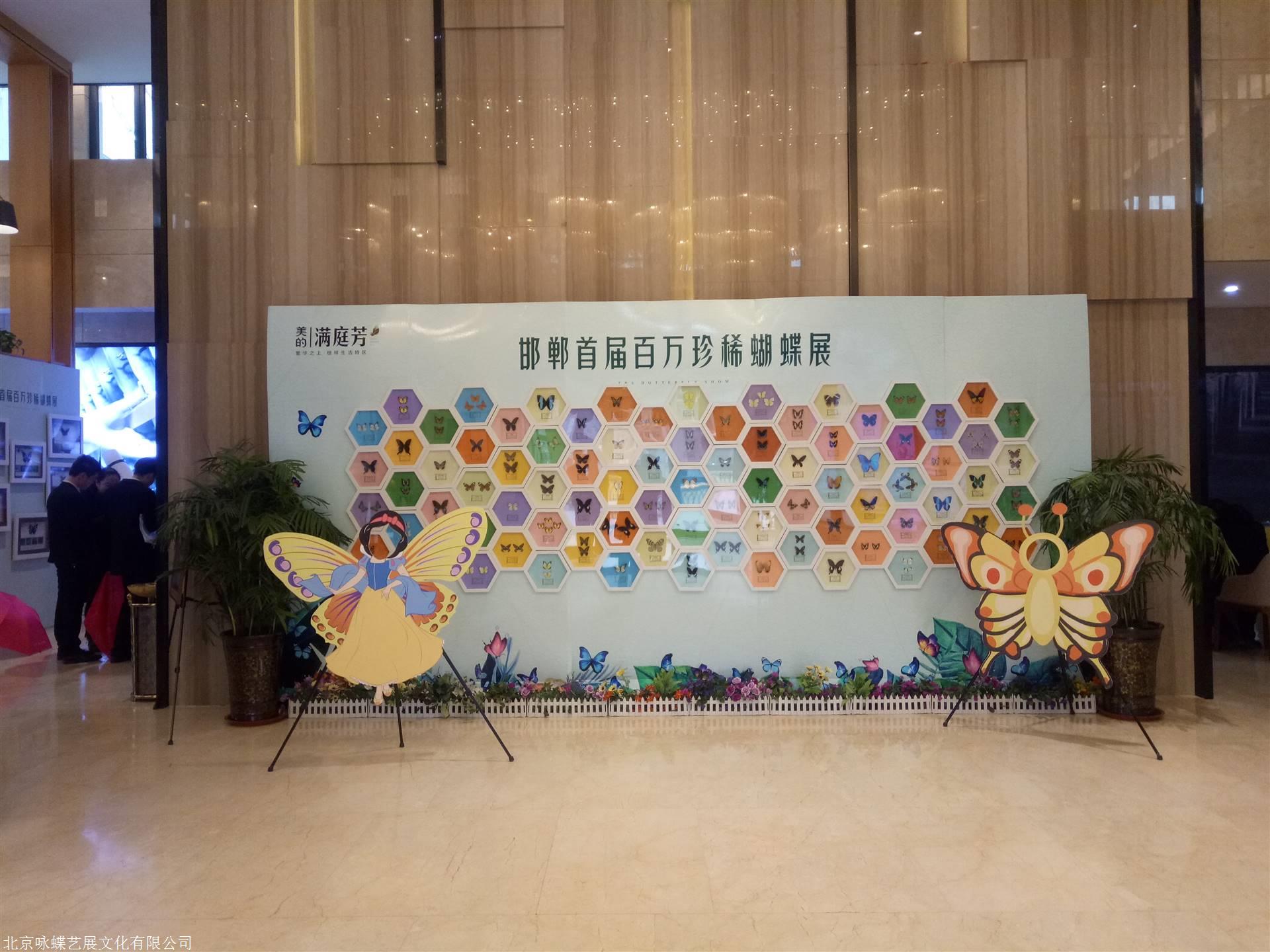 蝴蝶蜂窝迎宾墙可定做8000元起全国24小时上门服务