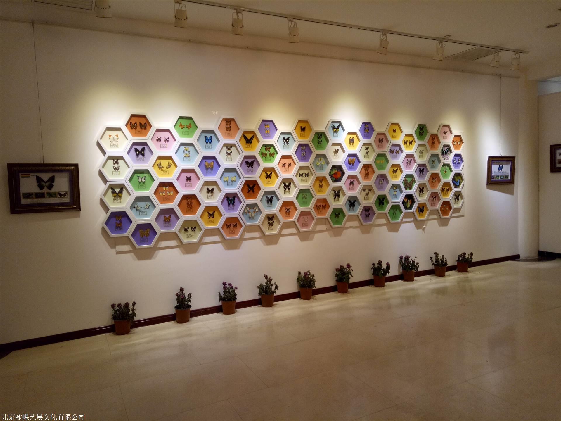 蝴蝶蜂窝迎宾墙可定做8000元起全国24小时上门服务