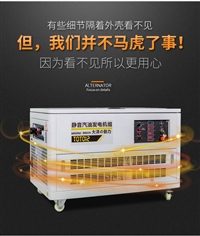 15千瓦汽油发电机低噪音箱体式