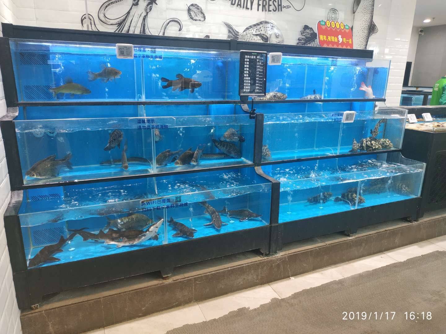 雨湖区海鲜店鱼池鱼缸价格是多少