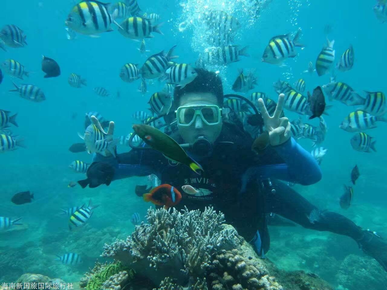 三亚亚龙湾潜水 三亚亚龙湾海底世界远海潜水一日游338元