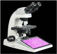 四川内置成像系统TL5000数码生物显微镜厂家