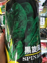 冬季菠菜品种联系人