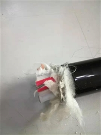 怎么挑选扁电缆YFFB，水密电缆