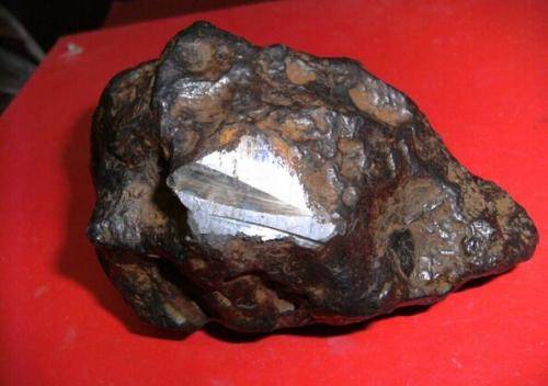 磁铁陨石拍卖交易会上的黑马