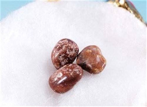 国内肉舍利快速成交记录