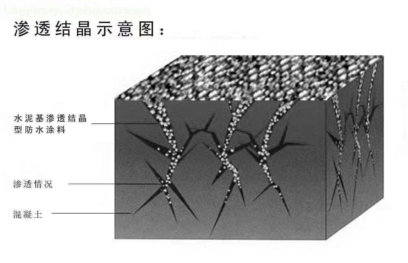 懷化滲透結晶做法