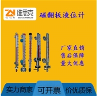 高压侧装磁性液位计YFK-998量程4000MM不锈钢316材质