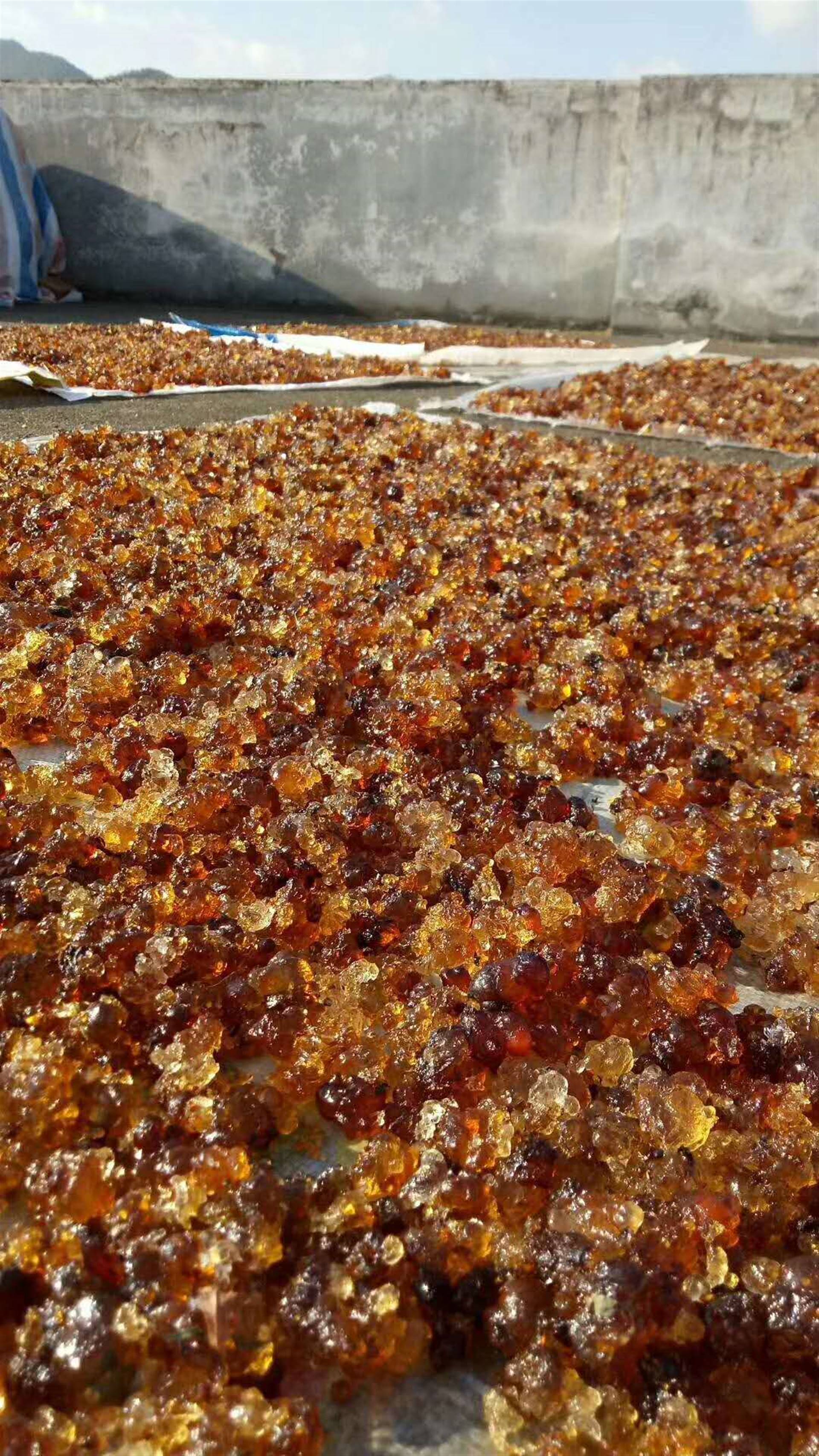 桃胶连平鹰嘴桃胶