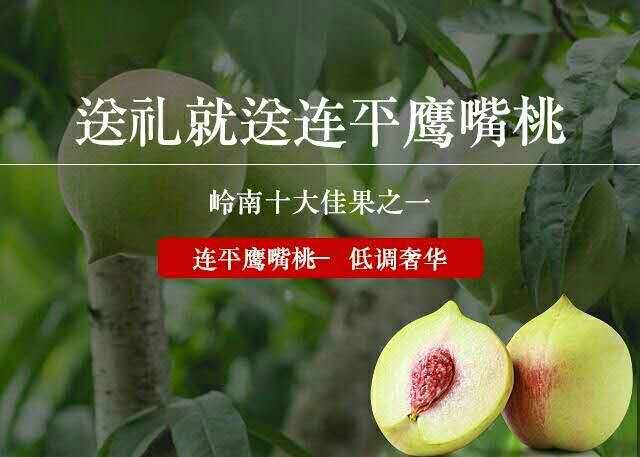 鹰嘴桃之乡--连平县上坪镇,鹰嘴蜜桃2020年7月开园