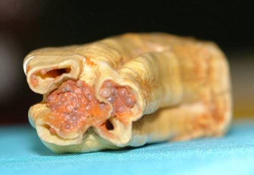 舍利拍卖市场和价格