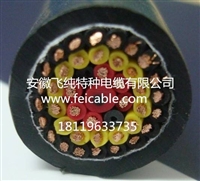 安徽飞纯特种电缆有限公司