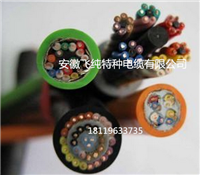 机械人耐弯曲电缆 安徽飞纯特种电缆有限公司
