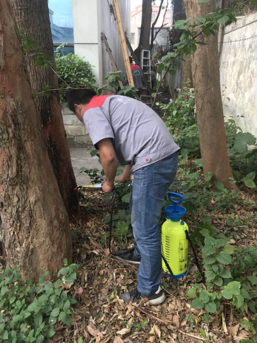 四轮拖拉机带动土豆收获机 红薯花生药材悬挂式收获机