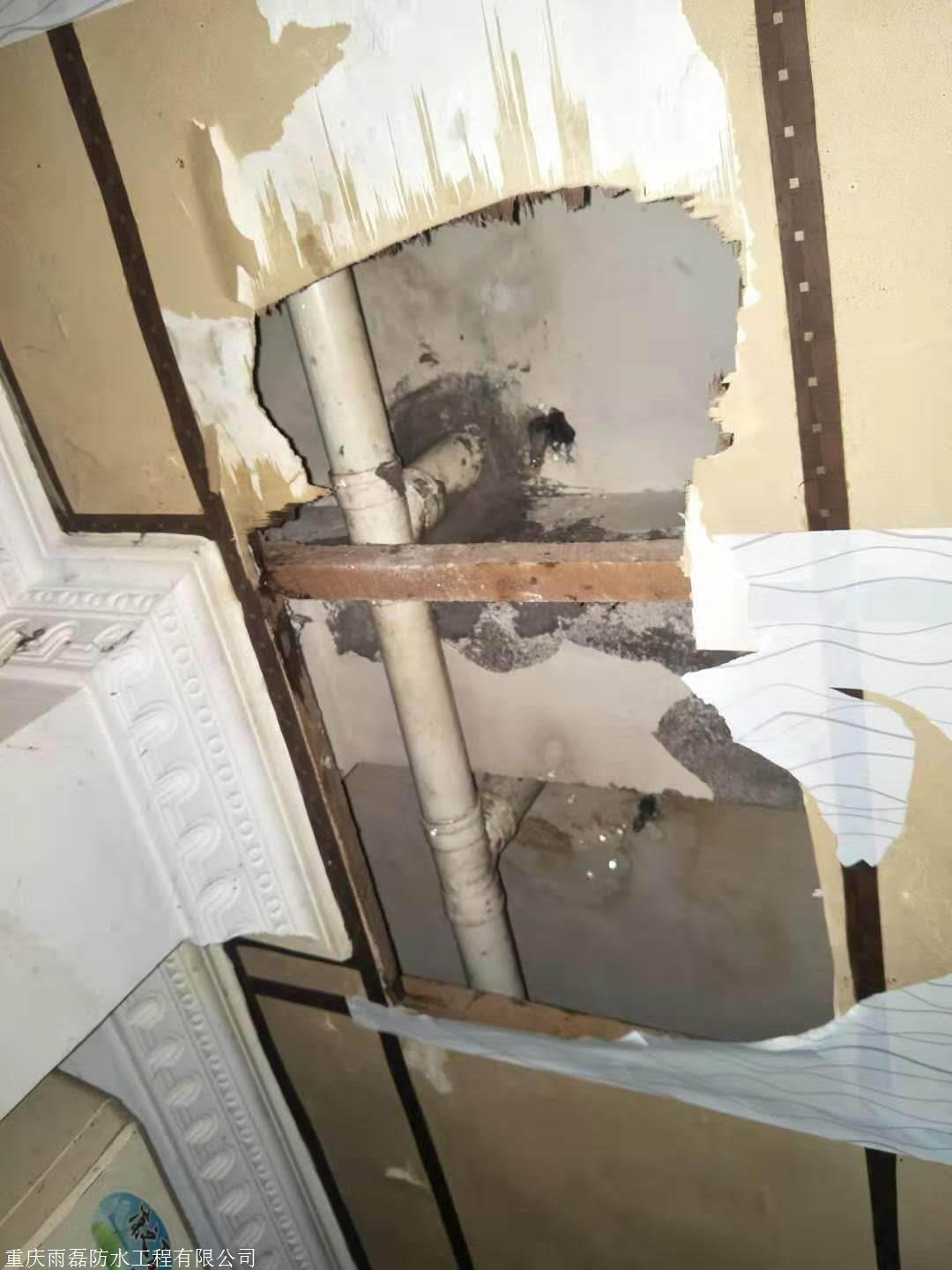 茶园专业防水补漏公司,茶园屋面防水