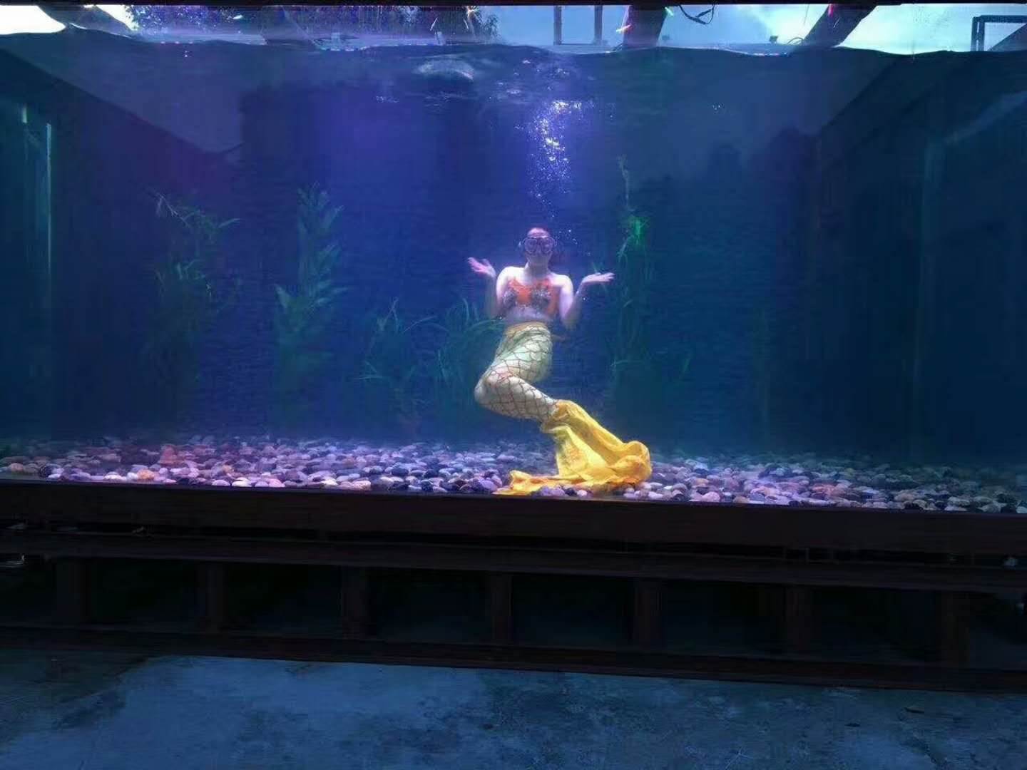 美人鱼表演资源海洋馆真人美人鱼鱼缸表演