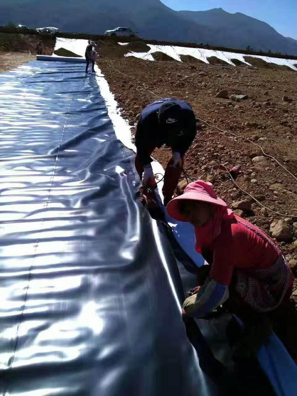 蓄水池防滲膜生產廠家