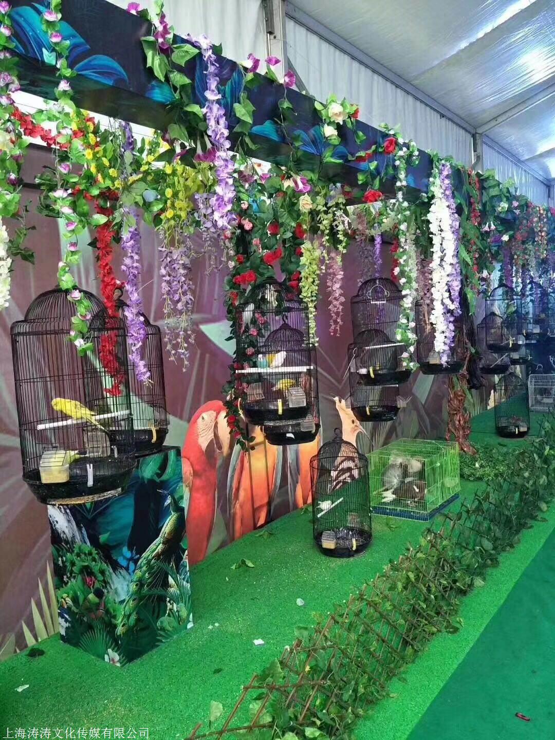 百鸟展出租 春季百鸟园活动鸟主题展