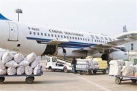 宁波机场托运宠物（宁波机场宠物托运要求）