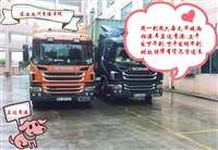 提供宁海到货运服务，滑雪杖直达香港运输，宁海到香港物流