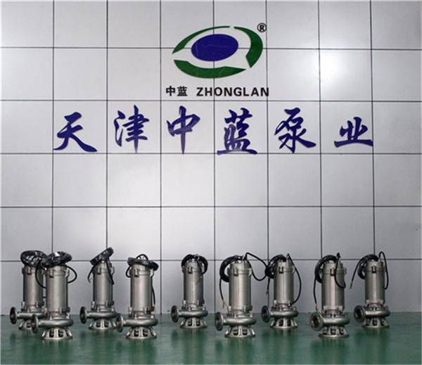 不锈钢污水排污泵