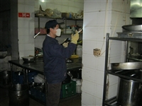 成都灭白蚁价格 成都如何预防白蚂蚁 成都室内灭鼠