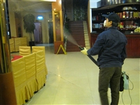 成都白蚁防治中心  成都白蚁防治 小区除白蚂蚁