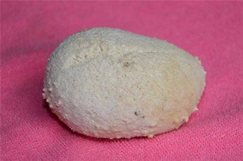 哪家单位拍卖狗宝