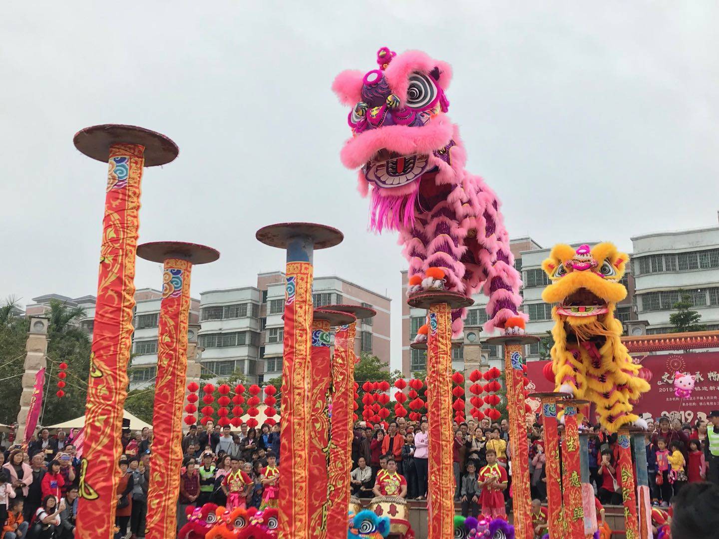 广东佛山醒狮队表演电话