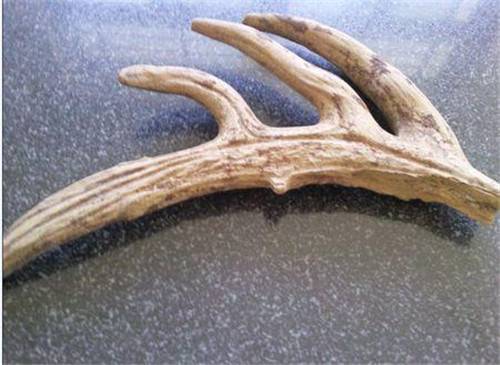 2019年鹿角化石拍卖包卖