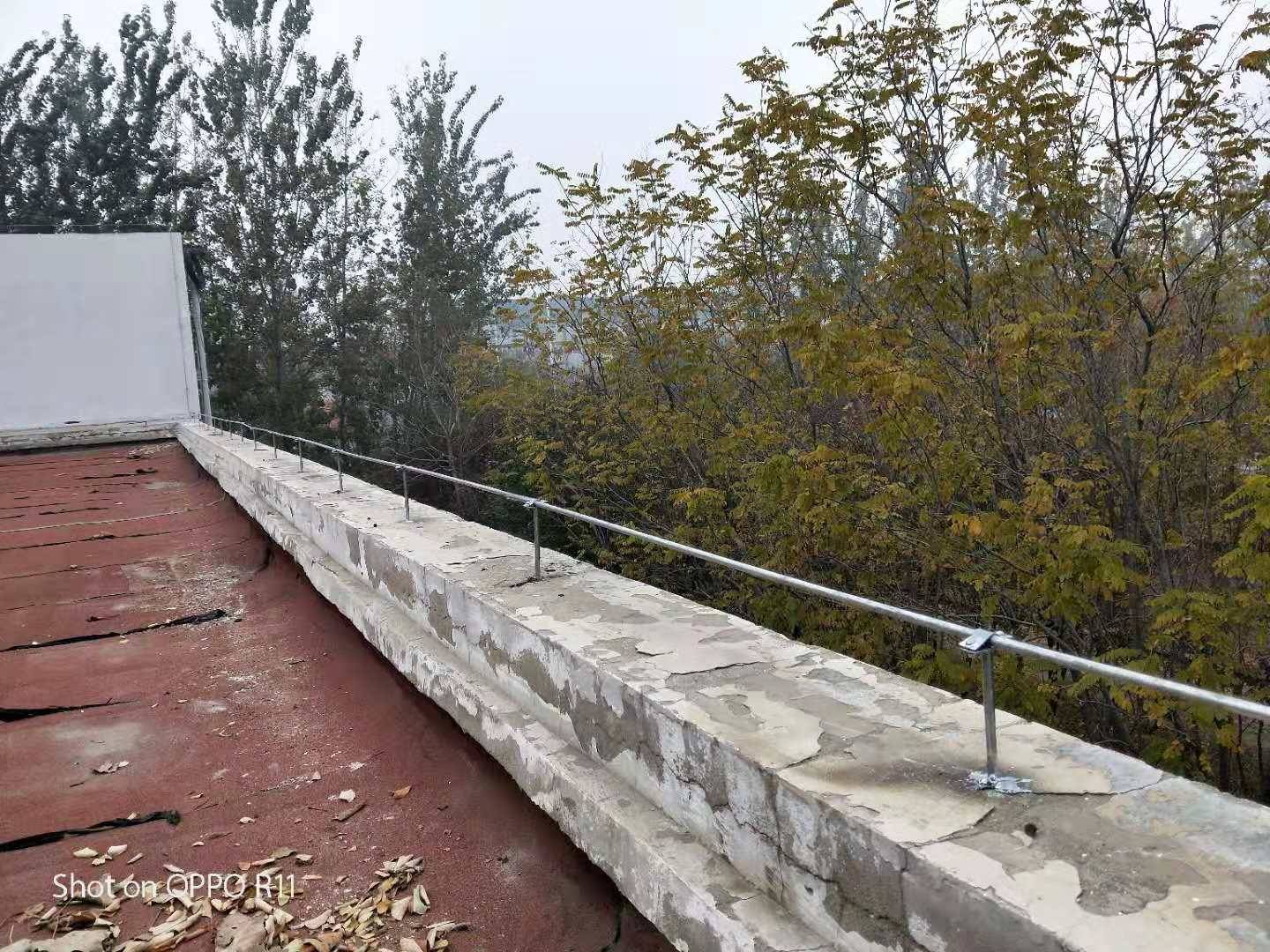 公司图片(100张)