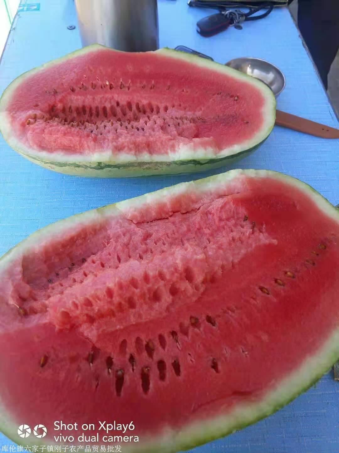 宁夏西瓜代办代收 宁夏中卫硒砂瓜代办代收 宁夏西瓜价格