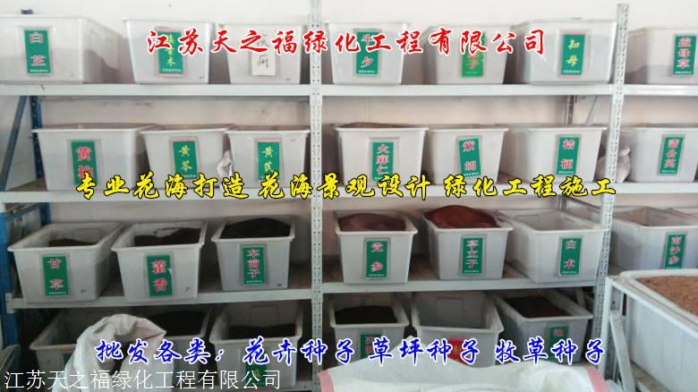 河源供应绿肥种子出售