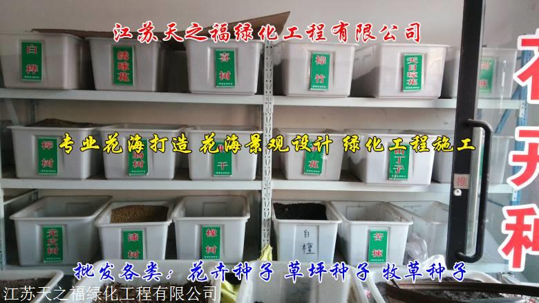 承德国标牧草种子采购