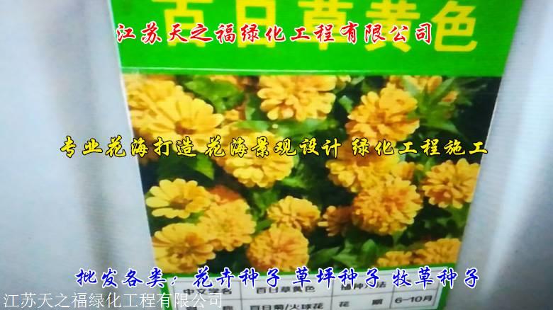 赤峰百喜草种子报价