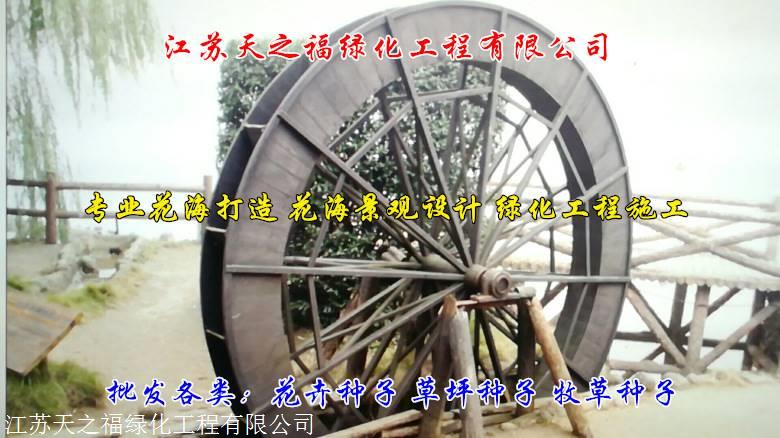 承德国标牧草种子采购