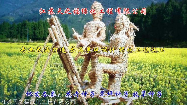 潮州长柔毛野豌豆种子品牌