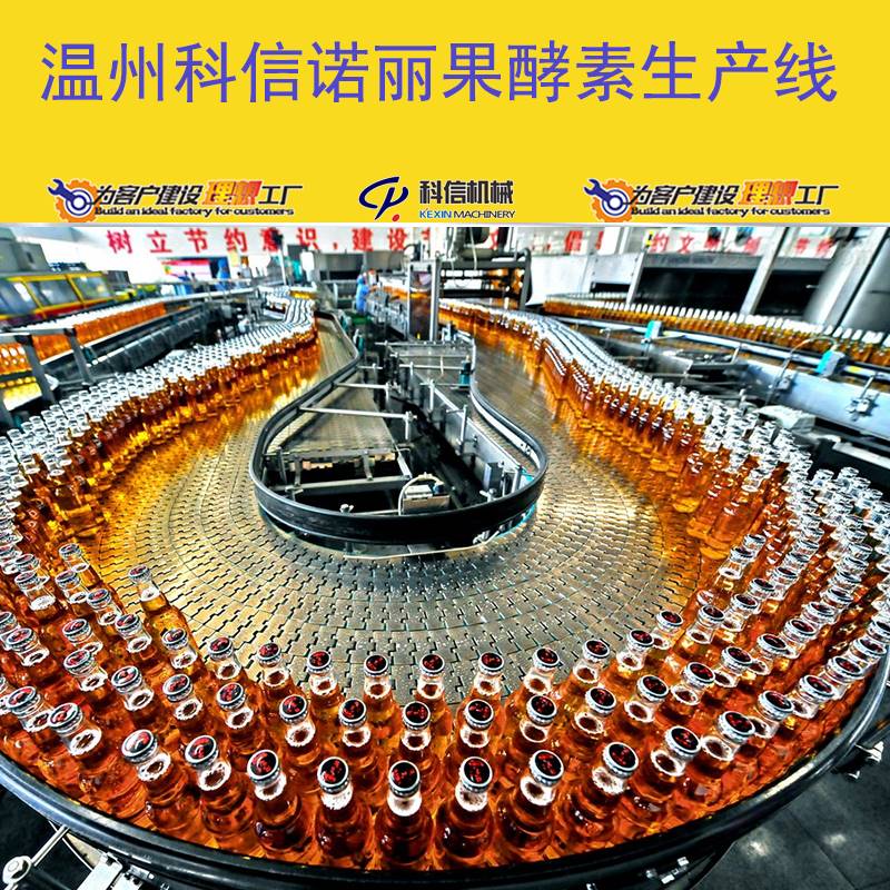 成套诺丽果酵素生产设备小型诺丽酵素灌装设备厂家