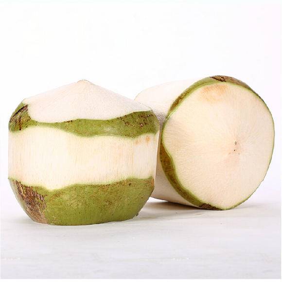 进口马来西亚椰子的费用是多少