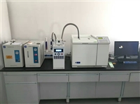 环氧乙烷GC气相色谱仪