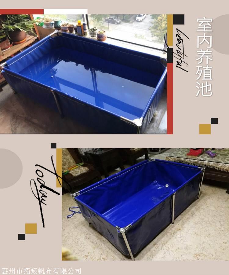 什么室内植物好养？U8国际- U8国际官方网站- U8体育APP下载